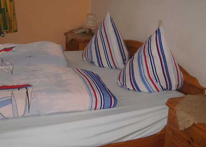 酒店 柯罗尼酒店 2*